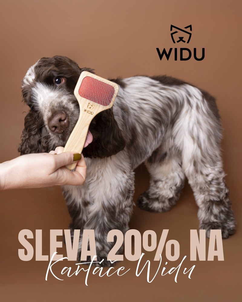 Mezinárodní den psů