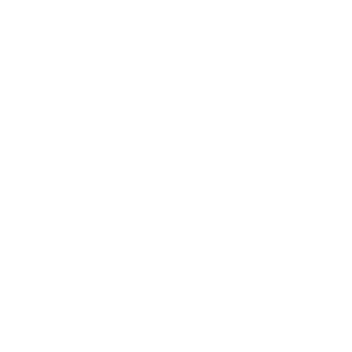 e-System C