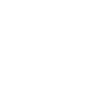 Digitální motor