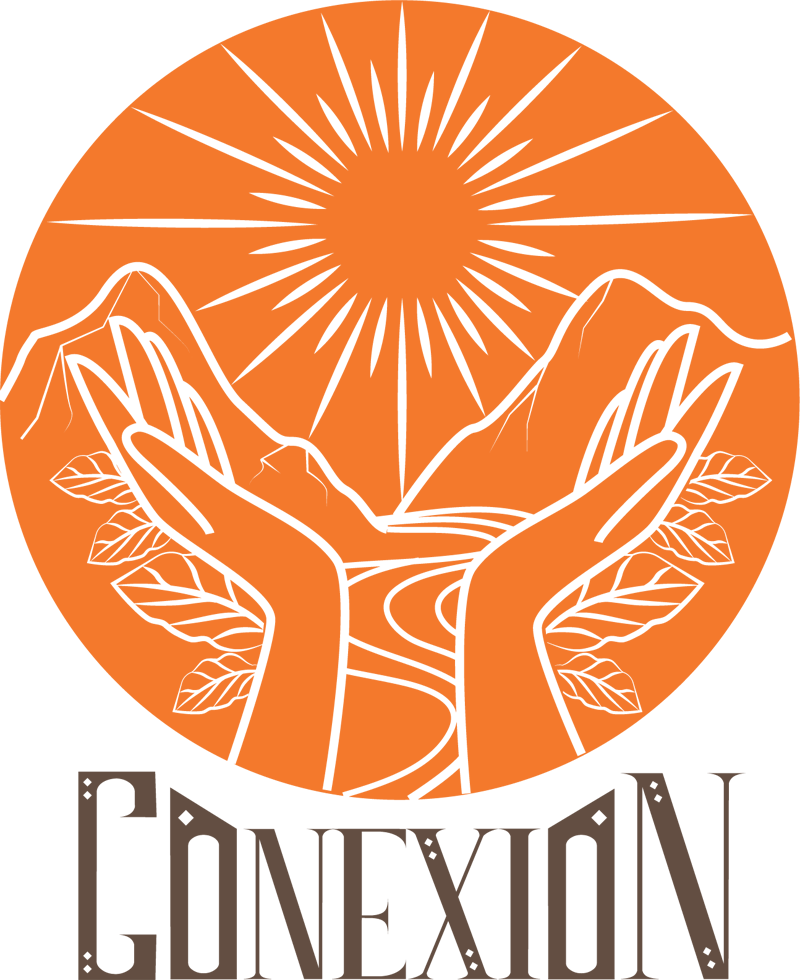 Conexion
