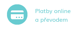 Přijímáme online platby
