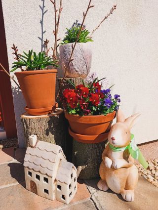 Veselé Velikonoce!🐰🪻🐣