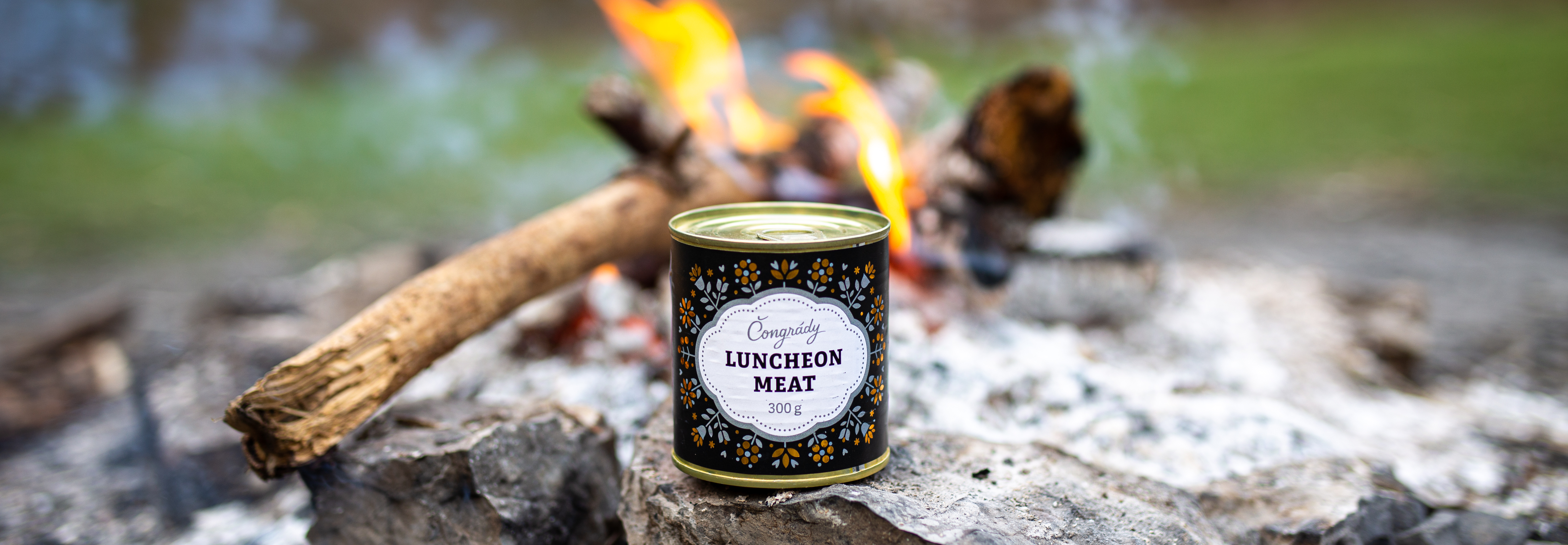 luncheon_meat_foto