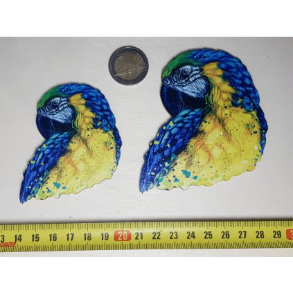 Drevena magnetka pre deti aj dospelych Carovny papagaj CoolArts Titulka