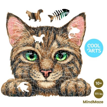 Strakata macka MindMaze 111 ks Drevene Puzzle CoolArts Titulka