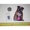 Drevena magnetka pre deti aj dospelych Psik Bulldog CoolArts Zadok