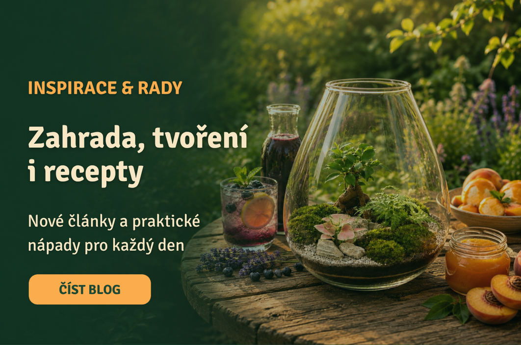 Inspirace pro zahradu, tvoření a recepty – praktické rady, návody a nápady na blogu cooldesign