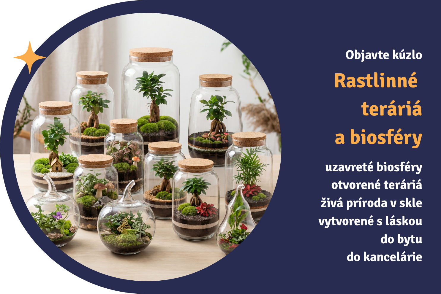 Banner s ponukou rastlinných terárií a biosfér do bytu aj kancelárie