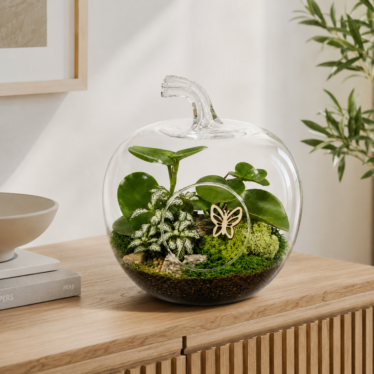 Otvorené rastlinné terárium v prírodnom ladení s fitóniou, peperómiou a dekoratívnym lišajníkom Ø 22 × 27 cm