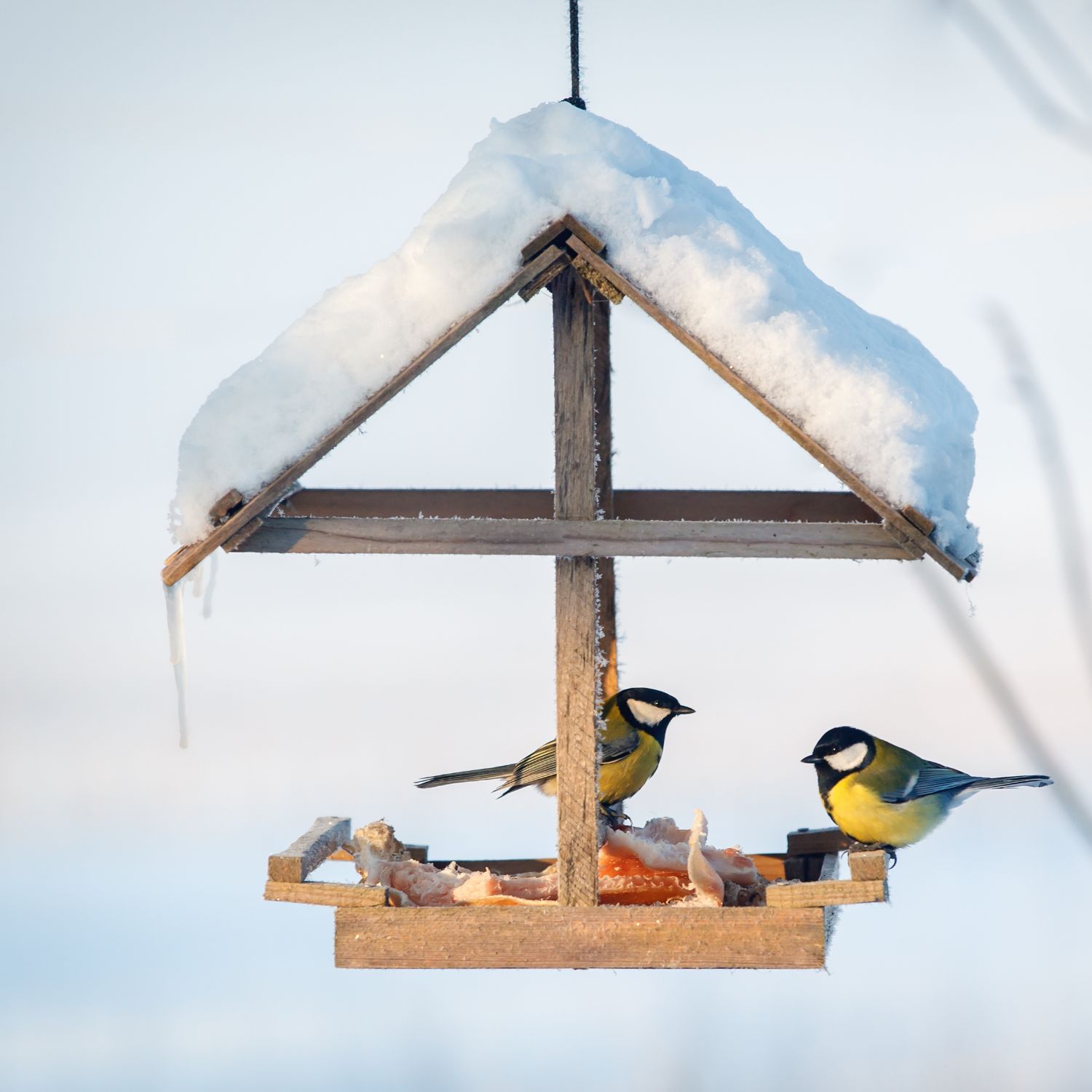 drevene-krmidlo-so-snehom-sykorky-zima