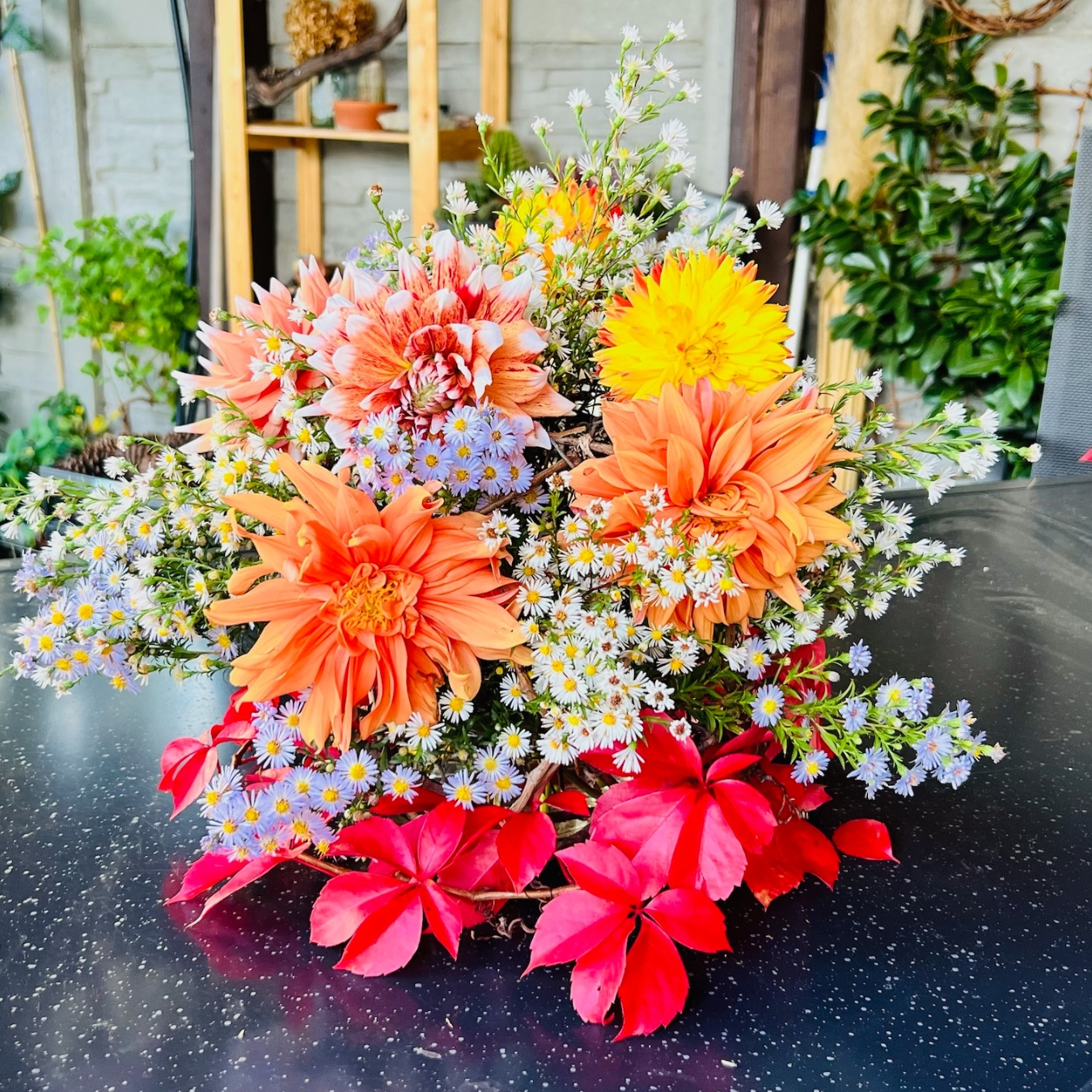 jesenny-aranzman-z-dalii-a-asteriek-michaelis-garden