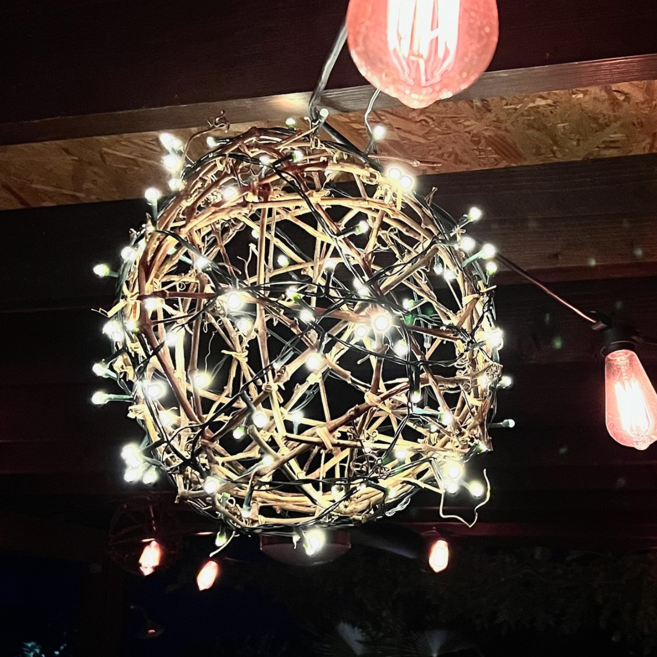 prutena-gula-so-svetielkami-pod-pergolou-michaelis-garden