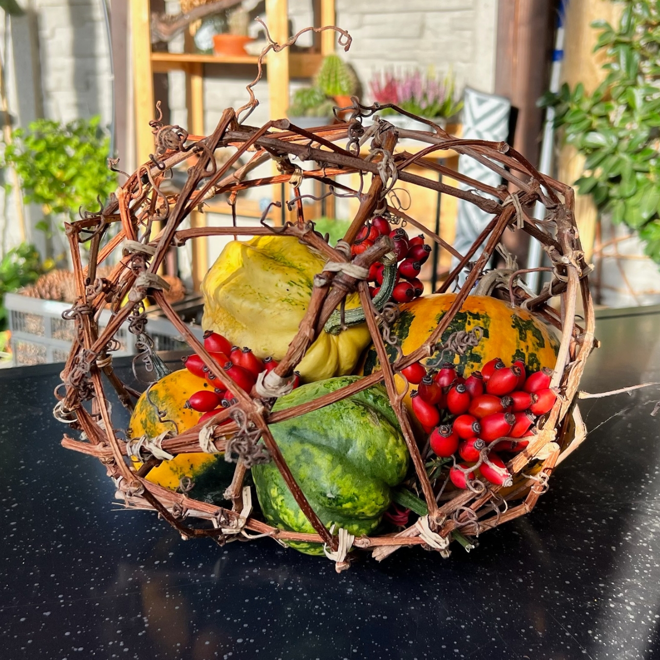 prutena-gula-z-vinica-s-tekvicami-a-sipkami-michaelis-garden