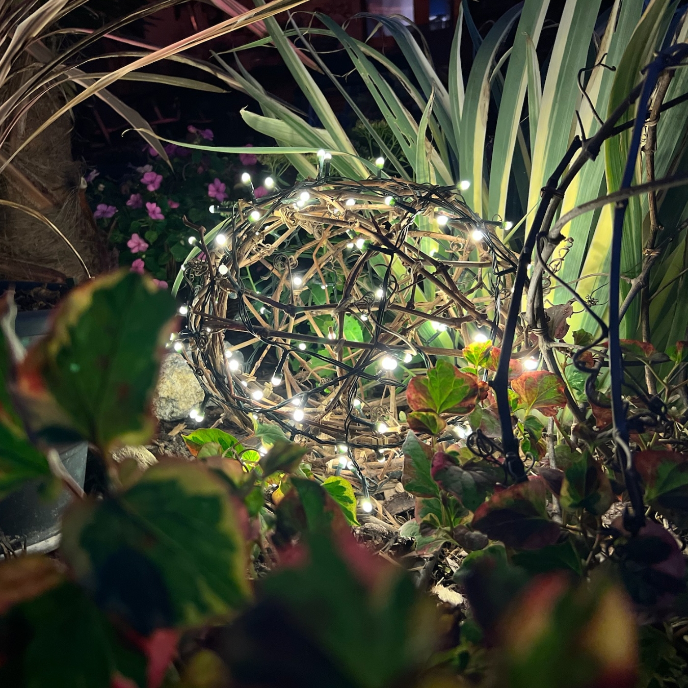 svietiaca-prutena-gula-v-zahrade-nocna-dekoracia