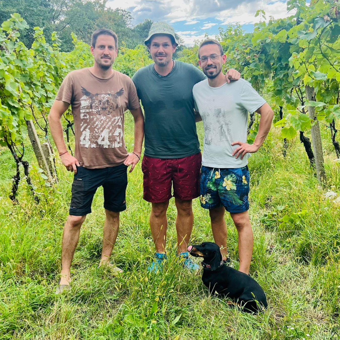 vinohrad-michaelis-garden-s-vinarom-belajom-harvy