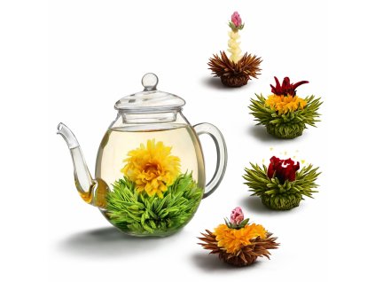 Sklenená kanvica s kvitnúcim čajom a čajovými kvetmi okolo