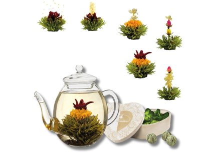 Kvitnúce zelené čaje v sklenenej kanvici so srdiečkovým boxom – darčeková sada 6 ks čajových kvetov