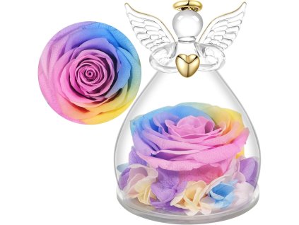 Detail dúhovej stabilizovanej ruže pod skleneným krytom