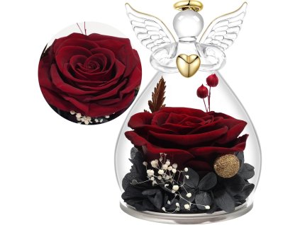 Detail bordovej stabilizovanej ruže pod skleneným krytom