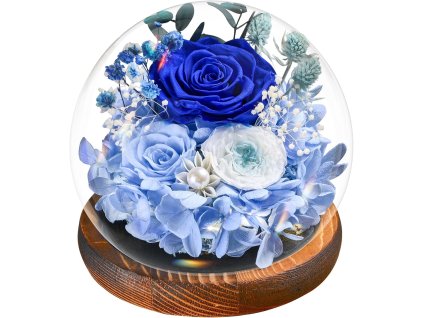 Romantická sklenená kupola s modrými večnými kvetmi na drevenom podstavci