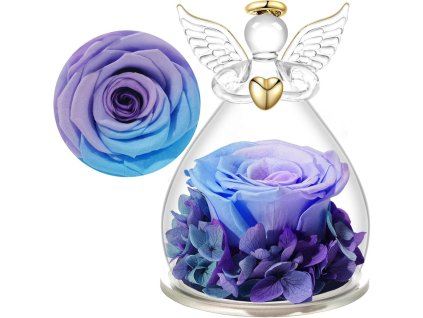 Detail modro-fialovej stabilizovanej ruže v skle