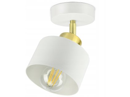 Bodové svetlo LUXOLAR Roller White