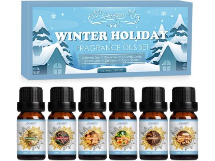 Darčeková sada zimných éterických olejov – 6 × 10 ml, rôzne vône v modrej krabičke Winter Holiday