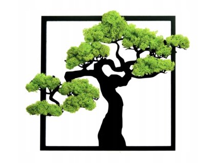 Machový obraz Bonsai v ráme – moderná dekorácia so stabilizovaným machom