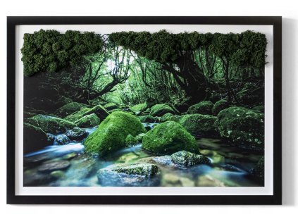 Obraz zo stabilizovaným machom Rieka v lese 60x40