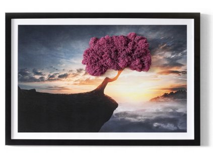 Obraz zo stabilizovaným machom Strom nad priepasťou 60x40