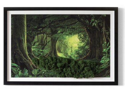 Obraz zo stabilizovaným machom Džungľa 60x40