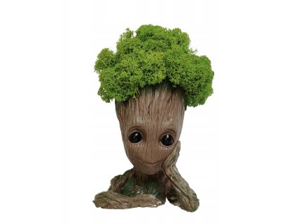 Machová dekorácia Groot
