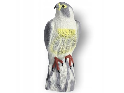 sokol odpudzovac realisticky pohlad na telo