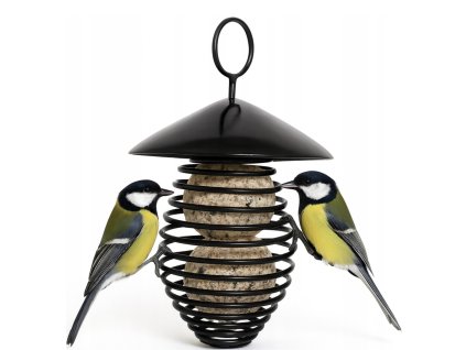 Dve sýkorky na kovovom kŕmidle so špirálou – ekologické riešenie na kŕmenie vtákov počas zimy