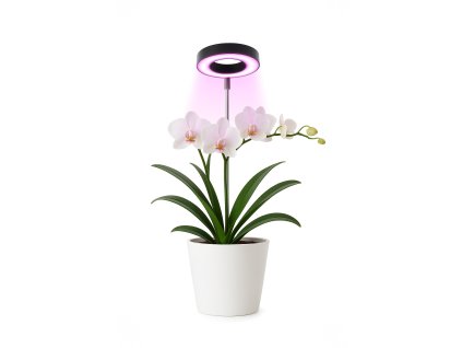 LED svetlo na rast rastlín s plným spektrom a 48 LED – ideálne grow svetlo pre orchidey, izbové rastliny a bylinky