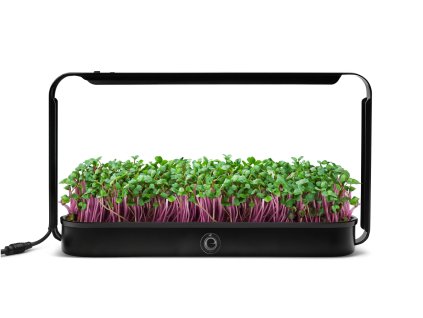 Hydroponická LED pestiareň na mikrozeleninu a bylinky – domáci systém na pestovanie bez pôdy s LED osvetlením.