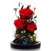 Večná kytica z troch červených ruží v skle s LED osvetlením