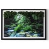 Obraz zo stabilizovaným machom Rieka v lese 60x40
