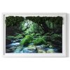 Obraz zo stabilizovaným machom Rieka v lese 60x40 B