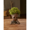 Detail Groot dekorácie s prírodným machom a realistickým spracovaním