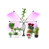 LED grow lampa so štyrmi ramenami a plným spektrom osvetľujúca izbové rastliny, kvety a bylinky