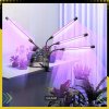 Štvorramenná LED grow lampa osvetľujúca bylinky a izbové rastliny
