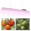 LED grow lampa 50W osvetľuje paradajky v rôznych fázach rastu