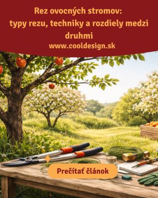 ✂️🌳 Rez ovocných stromov – keď chcete stromom naozaj rozumieť Tento článok nevznikol za večer. Vznikal niekoľko hodín,...