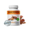 Reishi Triterpen extrakt 90 kapsúl