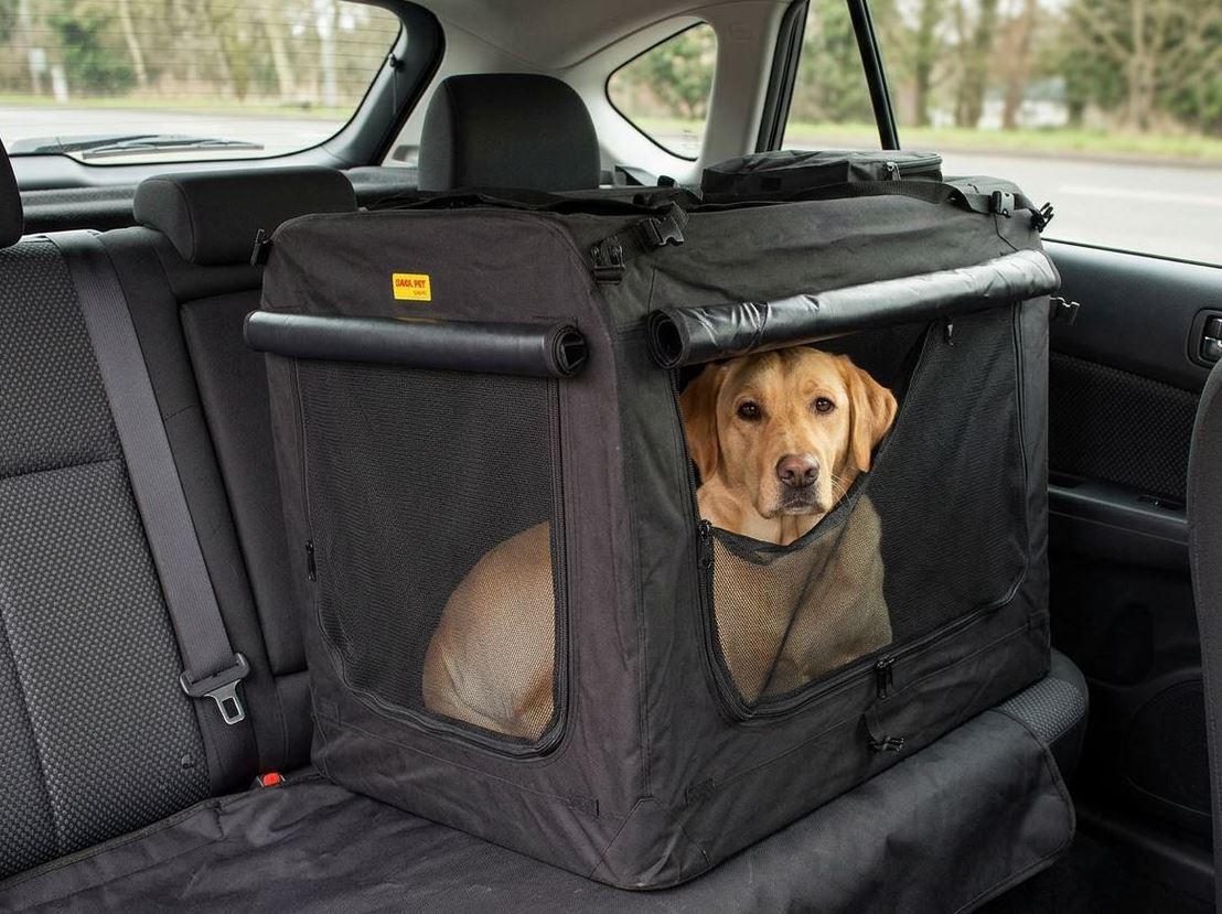 How to Travel Safely by Car with a Dog? A Complete Guide to Protect You and Your Dog