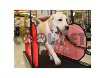 Běhací pás pro velké psy DOG PACER LF 3.1