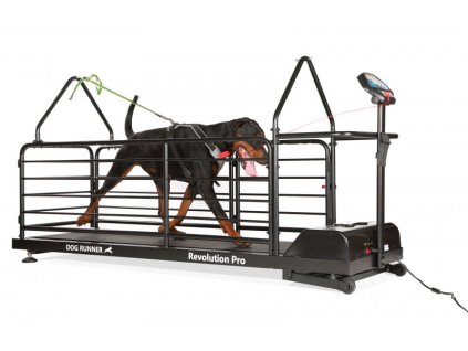 Běžecký pás Dog Runner – Revolution Pro