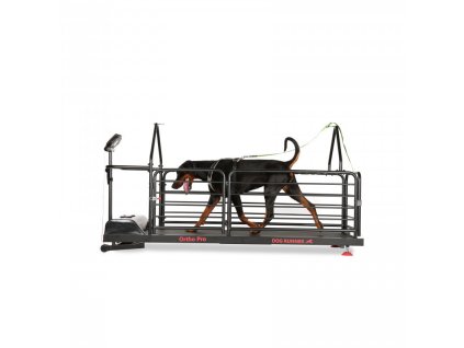 Běžecký pás Dog Runner - Ortho Pro