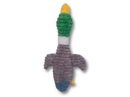 Kachna střední (70 cm)